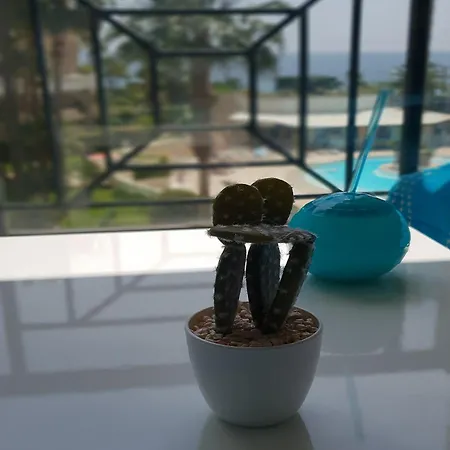 Sea View La Palme D'azur Steps Away From The And Perfect For Holidays & Business Trips *