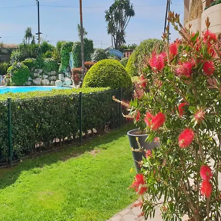 Sea View La Palme D'azur Steps Away From The And Perfect For Holidays & Business Trips